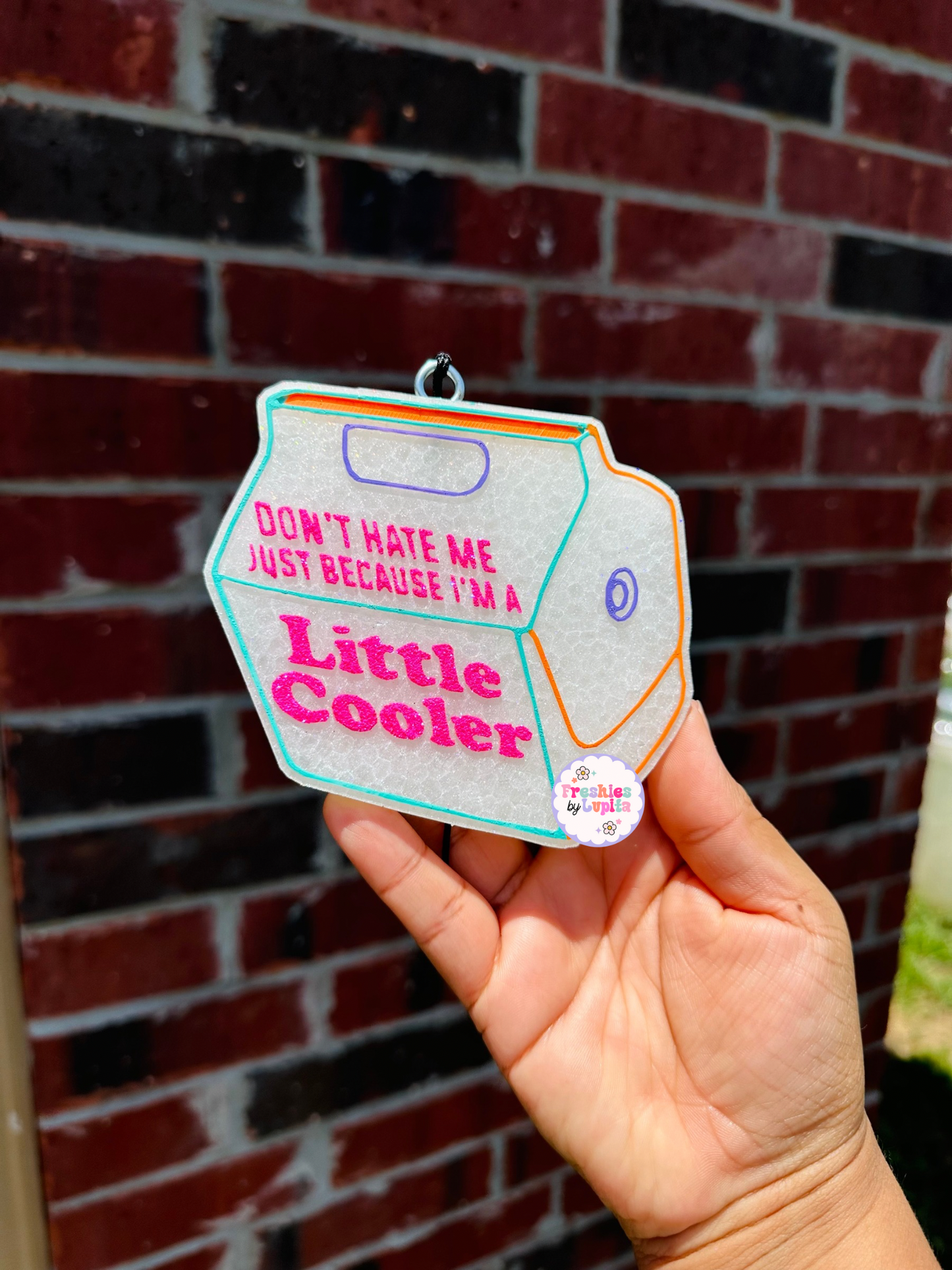Don’t Hate Me Just Because I’m A Little Cooler