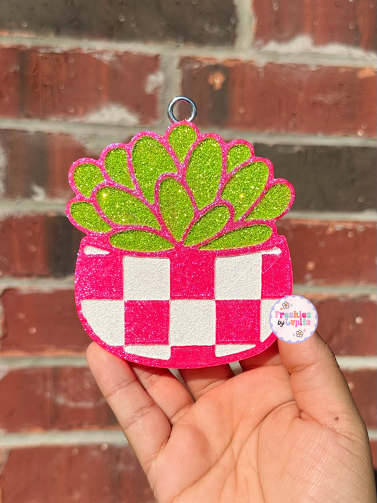 Checkered Potted Succulent