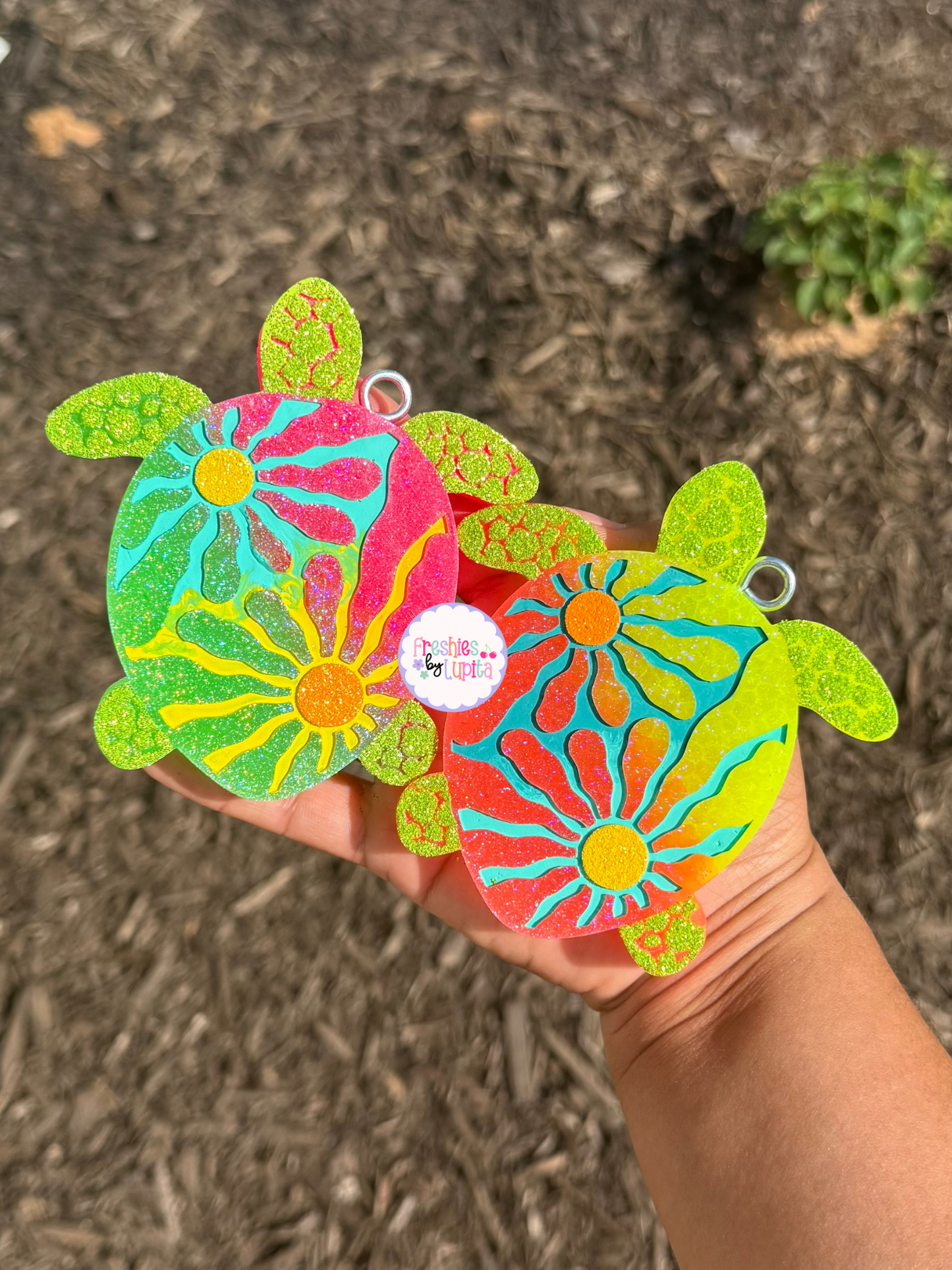 Sunny Turtle