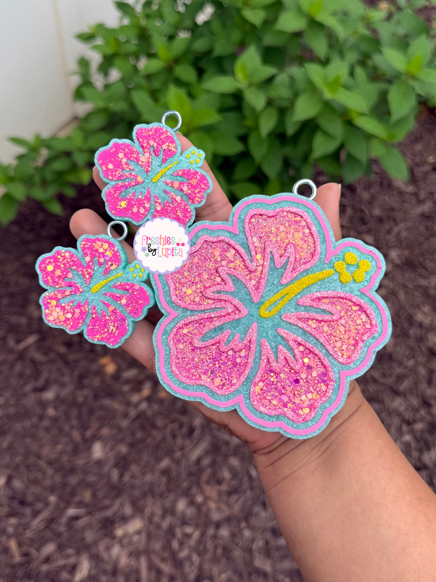 Hibiscus